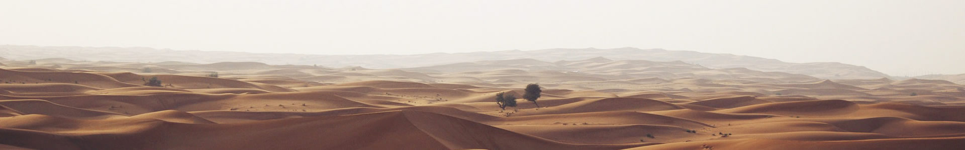 ǿ¡Ƽ޹˾